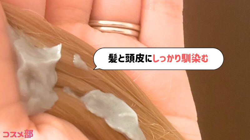 cocone（ココネ）クレイクリームシャンプーの洗い方